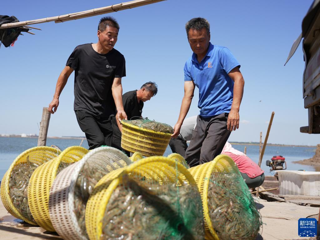 大神捕鱼游戏下载